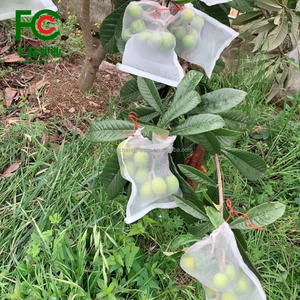 Protection fiable contre les insectes en HDPE stabilisé aux UV pour arbres fruitiers avec des sacs <span class=keywords><strong>anti</strong></span>-insectes réutilisables et des housses en maille - Product Image 6