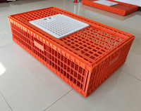 Cage de Transport de Poulets Vivants en Plastique Professionnelle à Vendre