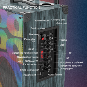 Altavoz portátil dual inalámbrico de 8 pulgadas para exteriores con iluminación micrófono Construcción de madera de alto volumen - Product Image 6
