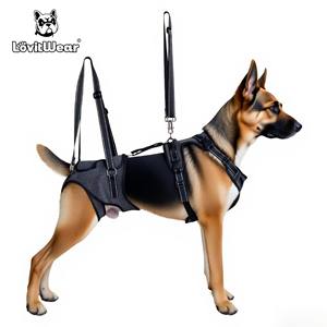 Correa para el pecho de poliéster ecológica con patrón <span class=keywords><strong>s</strong></span>ólido ajustable, cierre de hebilla, cintas, decoración, arné<span class=keywords><strong>s</strong></span> para mascotas para perros medianos/grandes - Product Image 2