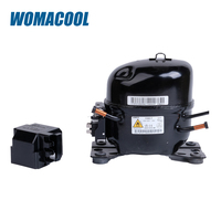 Compresseur de réfrigérateur GMCC Mini PZ80E1F R600a 220-240V/50Hz 1/6HP LBP