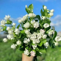 Fleur fraîche blanche à longue tige, origine Yunnan, vente en gros pour mariages, Saint-Valentin, anniversaires et décorations intérieures