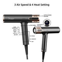Sèche cheveux double tension grande vitesse air froid léger ionique auto nettoyage salon OEM
