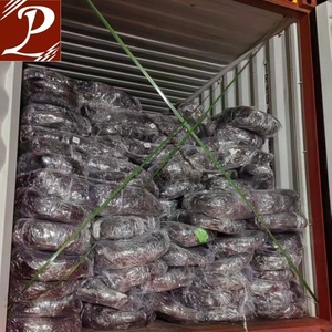 Malla de Seguridad <span class=keywords><strong>Invisible</strong></span> para Barreras 2026 - Product Image 6