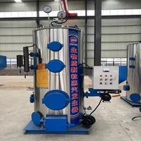 Chaudière à vapeur verticale de 200 kg, 300 kg, 500 kg, 700 kg, alimentée au bois et au charbon de biomasse - Prix