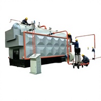 Compacte handgestookte biomassa stoomketel 1 ton, multi-brandstof, handmatige invoer voor fruit- en groentedrooglijnen