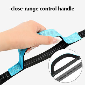 Correa para correr con manos libres para perros, cinturón de cintura ajustable, cuerda elástica de doble Mango, cuerda retráctil, puntadas reflectantes para caminar - Product Image 3