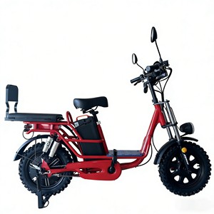 Bicicletta Elettrica Modello Russo da 16 Pollici Senza Batteria, Antiscivolo, per Adulti, Ideale per Consegne a Domicilio - Product Image 4