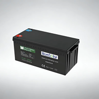 Baterai LiFePO4 Solid State HomSolar 100Ah 24V untuk Sistem Penyimpanan Energi Surya RV, Camper, Trailer, dan Rumah