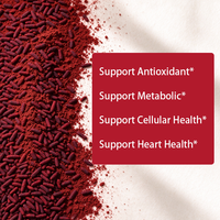 Gouttes de levure de riz rouge OEM/ODM très vendues avec CoQ10, sans sucre, favorisent la santé cardiaque, antioxydant, santé métabolique et cellulaire