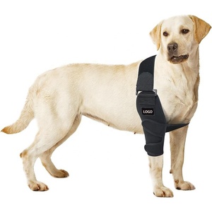 Equipo de protección Flexible <span class=keywords><strong>para</strong></span> perros, cinturón elástico, <span class=keywords><strong>rodilleras</strong></span> funcionales de compresión, coderas, uso en gimnasio, alivia el dolor articular de las piernas, postoperatorio - Product Image 1