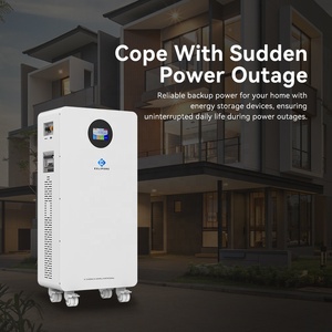 Wall <b>Mounted</b> Powerwall 51.2V 280Ah Deep Cycle L 48v Ifepo4 <b>Battery</b> 15kwh Lithium <b>Battery</b> Flywheel Home Energy Storage EXES-W2 Fl - Product Image 3