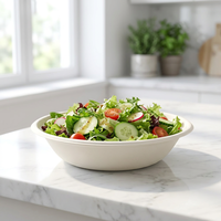 Bol alimentaire jetable en bagasse non blanchie, biodégradable et durable, fabriqué en Chine, pour pique-nique en extérieur