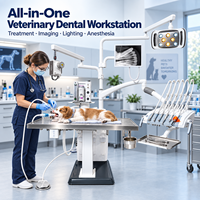 Compresseur d'air sans huile OliveVet pour hôpital vétérinaire, lampe buccale LED sans ombre, caméra intra-orale 8 MP, unité dentaire vétérinaire