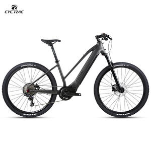 Venta a granel de fábrica Bicicleta <span class=keywords><strong>eléctrica</strong></span> EC1 con bicicleta de carretera <span class=keywords><strong>eléctrica</strong></span> de 10 velocidades 48V 350W Motor de accionamiento medio E-Bike La <span class=keywords><strong>mejor</strong></span> relación <span class=keywords><strong>calidad</strong></span>-<span class=keywords><strong>precio</strong></span> Ebike - Product Image 2