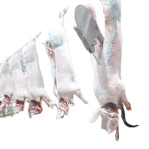 Equipo de Matanza de Cerdos de Fábrica, Línea Completa de Sacrificio de Cerdos, Maquinaria para Mataderos con Equipo de Carnicería - Product Image 1