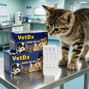 Kit de Prueba Rápida FHV para Gatos, Uso Doméstico, el Mejor para Veterinarios, Equipo de Diagnóstico <span class=keywords><strong>Veterinario</strong></span> - Product Image 4