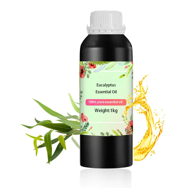 Großhandel reines Eucalipten Ätherisches Öl Aroma Aromatherapie Öle für Massage Diffusoren Duftkerzen Parfüm Diffusor