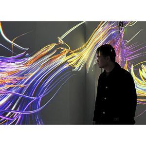 Bright Lines Kinetic Moving Art เทคโนโลยีใหม่สำหรับโปรเจคเตอร์โฮโลแกรม3D ภาพทิวทัศน์ที่สวยงามและสะดวกสบาย - Product Image 3
