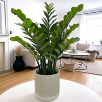 Arbre à argent Zamiifolia réaliste en gros, prix bas, plante artificielle en plastique pour la décoration de la maison