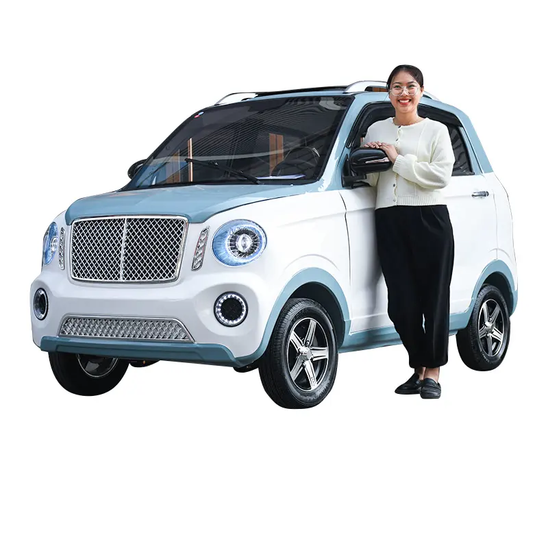 Cheap And Hot Sale Smart New Energy Adult Four Wheel Mini Electric Small Car Made in China