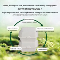 Boîtes d'emballage jetables biodégradables écologiques en bagasse, résistantes au micro-ondes, pour hamburgers, salades et pâtisseries