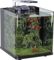 Élégant Nano Cube Rectangulaire De Bureau Fish Tank Aquarium 220V En Plastique Petit Design Carré avec Type D'éclairage Emballage En Boîte