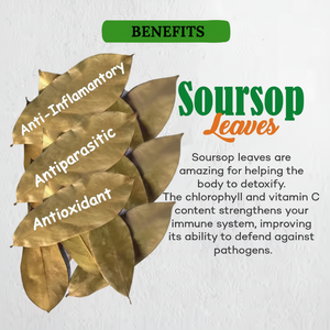 BourNeels Hojas de Guanábana secadas al sol 1kg Graviola a granel Té de hierbas Ingrediente de grado premium, sin OGM Limpio y verde - Product Image 1