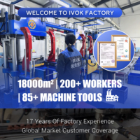 IVOK 13207-21002 Einlassventilschaftdichtung 6*11*16 FKM Hochtemperatur Direktverkauf ab Werk für Daewoo Motorventil Öldichtungssatz
