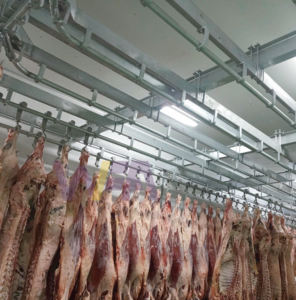 Usine clé en main pour l'abattage 50 taureaux par jour de mini machine d'abattage de vaches - Product Image 4