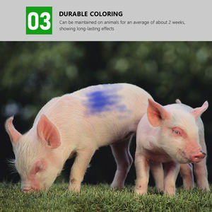 Durable résistant au temps de jet de coloration de bétail écologique - Product Image 4
