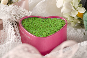 Fleur pressée naturelle Spiraea Veitchii Meadow Sweet Nail Crafts, faite à la main, écologique, dans un cadre - Product Image 3