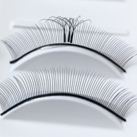 6D Clover Lashes 0.07 Lash Supplies W Shape d Curl Extension de cils Ventilateurs individuels préfabriqués