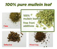 Nouveaux produits Chinaherbs : Sachets de thé naturel à base de molène certifiés GMP pour la purification des poumons et le soutien respiratoire