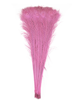 Plumes de paon naturelles pour la vente, fête, carnaval, décoration de mariage, centre de table, vase de Noël, décoration de vacances, bricolage, artisanat floral