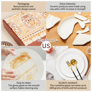 Beyaz 10.5 inç seramik yemek tabağı özelleştirilebilir tek parça gevşek paketlenmiş şarj sofra - Product Image 5