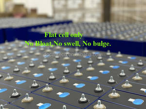 Tech Daisy 280Ah <span class=keywords><strong>Lifepo4</strong></span> <span class=keywords><strong>3</strong></span>,2 В 50Ah 100Ah 230Ah 300Ah 314AH 330AH 628Ah, солнечные батареи <span class=keywords><strong>Lifepo4</strong></span>, литиево-ионный аккумулятор - Product Image 3