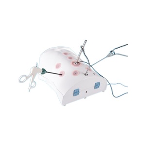 Dispositivo de entrenamiento laparoscópico de simulación humana relación 1:1 modelo humano HD endoscopia productos de gama alta - Product Image 1
