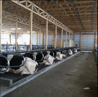 Matelas en caoutchouc pour vaches, durable, antidérapant, pour l'élevage laitier, litière pour bétail, matelas de repos imperméable pour bovins
