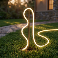 Ruban LED néon flexible en silicone coloré 6*12mm DC12V 24V IP67 étanche pour chambre intérieure et extérieure