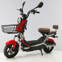 Bicicleta Eléctrica de Alta Velocidad de 800W con Motor sin Escobillas y Batería de Litio