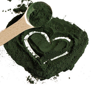 QINSHANTANG Santé Supplément Organique Spiruline Platensis Extrait Poudre De Qualité Alimentaire Tambour Emballage <span class=keywords><strong>En</strong></span> Gros <span class=keywords><strong>En</strong></span> <span class=keywords><strong>Vrac</strong></span> à Vendre - Product Image 2