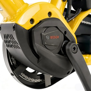 <span class=keywords><strong>Vélo</strong></span> cargo <span class=keywords><strong>électrique</strong></span> personnalisable pour adultes, frein à rotor de 203 mm, chaîne KMC 10 vitesses, couple de 85 Nm, <span class=keywords><strong>vélo</strong></span> cargo <span class=keywords><strong>électrique</strong></span> pour les entreprises - Product Image 5