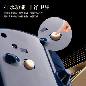 Armónica Feifan de 32 Teclas, Piano Portátil para Niños, Principiantes y Adultos, Instrumento Musical Melódico - Product Image 3