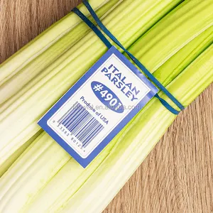 Banda de goma de silicona colorida personalizada con etiqueta buen elástico para etiquetar verduras y frutas