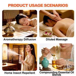 Aceite Absoluto de Semillas de <span class=keywords><strong>Pimienta</strong></span> de Sichuan (Zanthoxylum Bungeanum Maxim) 100% Puro y Natural, Extracto de CO2, Aceite Esencial para Masajes - Product Image 4