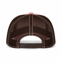 Gorra Trucker de Malla Rosa Marrón al por Mayor con Logotipo Bordado en 3D, Gorra de Béisbol de Moda Urbana para Mujer, Verano, Exterior, Snapback