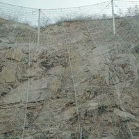 Systèmes de clôture en treillis galvanisé de 4,0 mm pour la protection contre les chutes de pierres, filet de protection des pentes en acier galvanisé