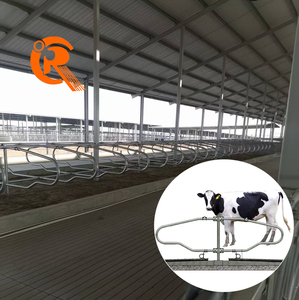 Divisorio per Box Bovini Zincato a Caldo, Separatore per Cubicoli, Attrezzatura per Allevamento di Bestiame - Product Image 1
