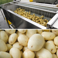 Industriële aardappel-, wortel- en yam-schilmachine van roestvrij staal 304